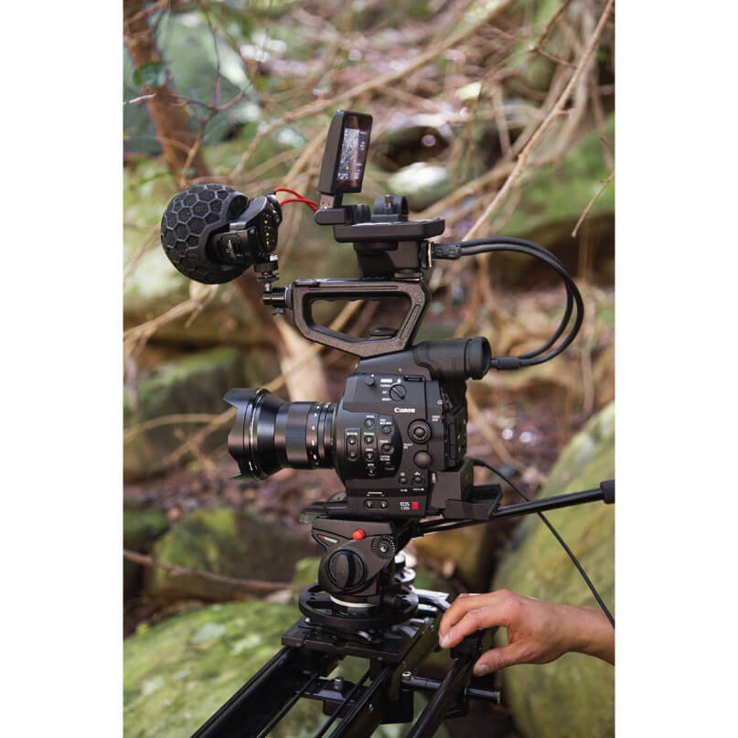 Rode Stereo Videomic X Canon cinema camera on a modular rig with external monitor in a forest setting.