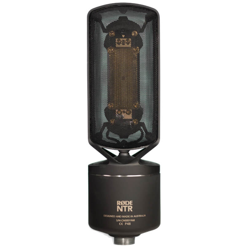Rode Ntr Rode ntr microphone with metal mesh grille, integrated shock mount, and black cylindrical base.