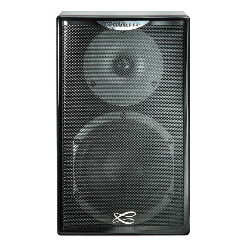 Cabasse Surf Bookshelf Speaker Cabasse loudspeaker with two drivers behind a perforated metal grille in a tall black cabinet.