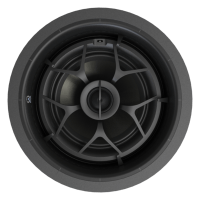 Circular black speaker woofer with central dust cap, radial ribs, and gray surround.