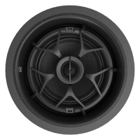Round black speaker driver with central cone and supporting spider arms, front view.