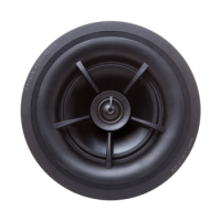 Round black speaker driver with rubber surround, central dust cap, and four radial supports.