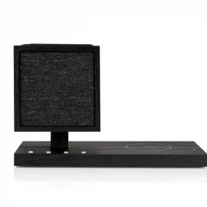 Black desktop speaker with a square driver on a short pedestal mounted on a flat rectangular base.