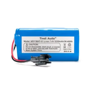 Tivoli Audio MSY3BAT-01 lithium-ion battery pack for Music System Three, 7.4V 5200mAh.