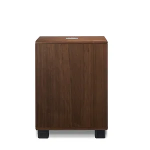 A small Classic 98 cabinet by REL on a white background.