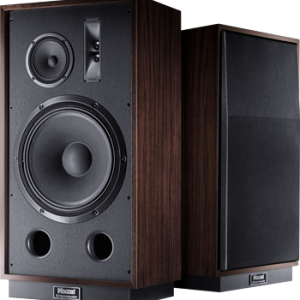 Pair of dark wood veneer floorstanding loudspeakers with black front baffles, revealing woofer, midrange, tweeter, and bass ports.