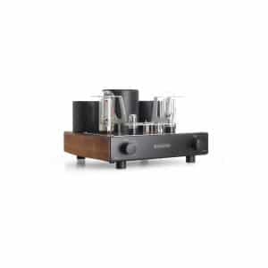 Mastersound Compact 845 Tube Amplifier