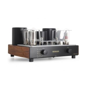 Mastersound Evolution 845 Tube Amplifier