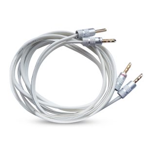 Coiled white speaker cable with gold-plated banana plugs on both ends.