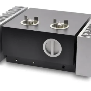 Two-channel power amplifier with dual side heat sinks and top terminal posts, featuring a front circular volume knob.