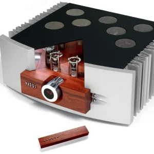 Pathos vacuum tube stereo amplifier with large side heatsinks and a wooden front panel.