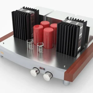 High-end stereo amplifier with dual large heatsinks, red capacitors, wooden side panels, and two front knobs.