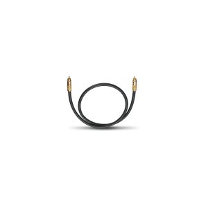 Black RCA audio cable with gold-plated male connectors on each end.