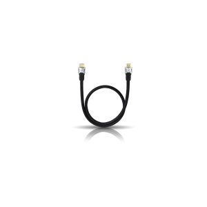 Black USB-C to USB-A cable with gold-plated connectors.