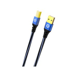 USB-A to USB-C data cable with blue metal connectors and a black-blue striped jacket.