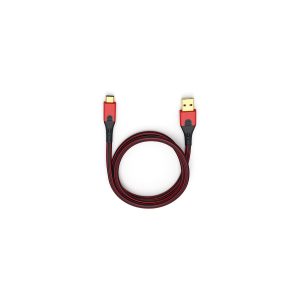 Braided red-and-black USB-C to USB-A charging cable with gold-plated connectors.