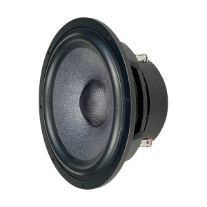 Black woofer speaker driver with rubber surround, textured cone, central dust cap, and rear binding-post terminals.