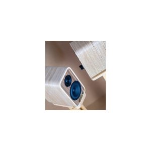 Pair of light wooden speaker cabinets with blue driver cones.