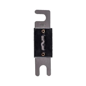 100A automotive blade fuse holder with black housing and forked metal terminals, showing fuse element in the center.