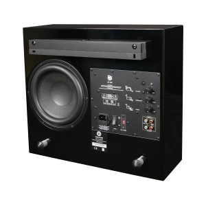 DS AF-100 active subwoofer with large front driver and rear control panel with knobs and line inputs.