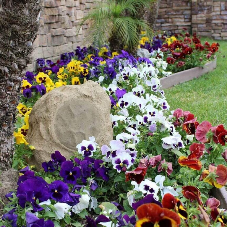 Tgd Audio Ors-602G 6.5″ Outdoor Rock Speaker (Granite) Colorful pansies border a stone-edged flower bed with a large decorative rock.