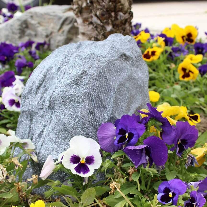 Tgd Audio Ors-602G 6.5″ Outdoor Rock Speaker (Granite) Gray garden rock framed by purple, yellow, and white pansies in a flower bed.