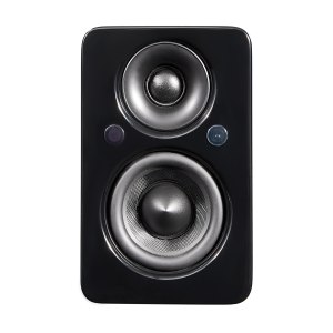 Black tall speaker with two round drivers and glossy finish.