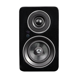 Black speckled speaker with two drivers and LED indicators.